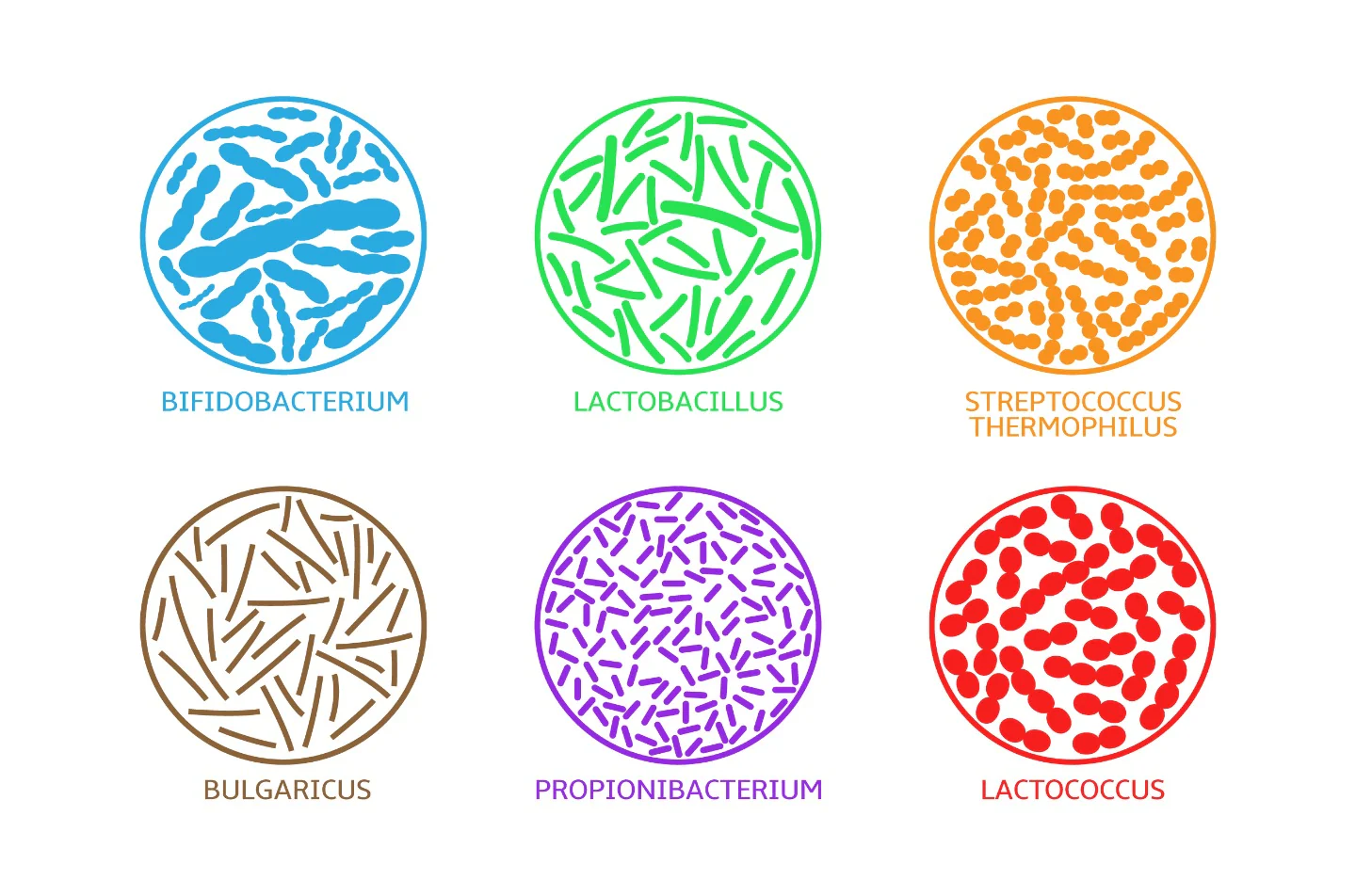 probiotik